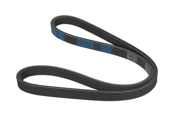STELLOX 04-00805-SX V-Ribbed Belt