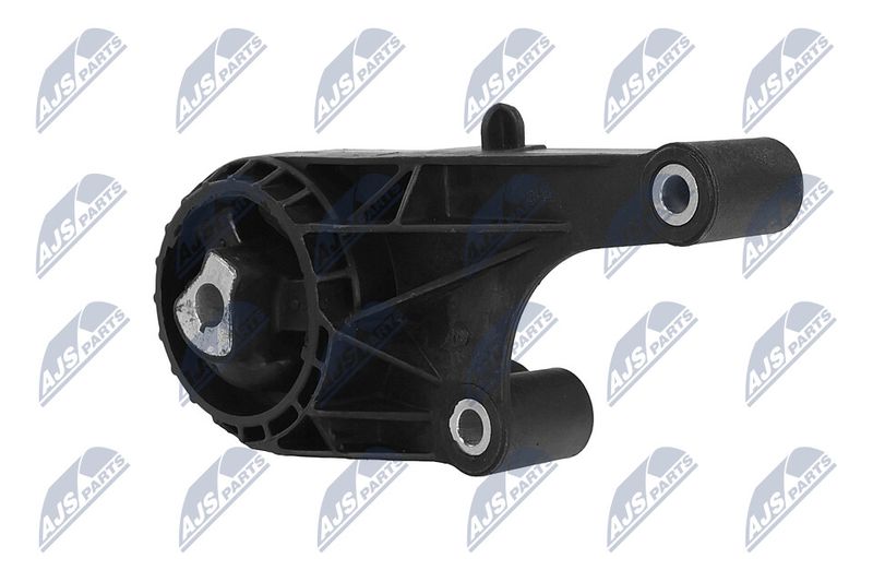 Paigutus, Mootor, NTY ZPS-PL-057