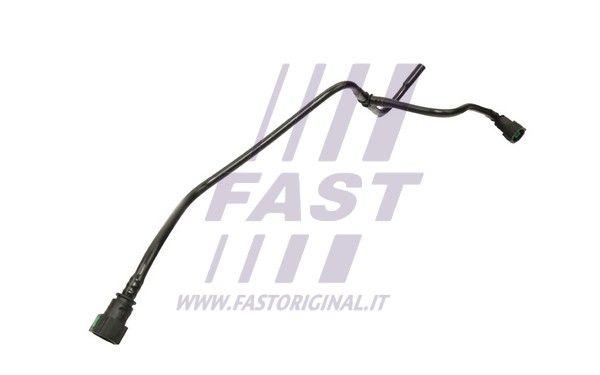 FT61884_1_1.JPG