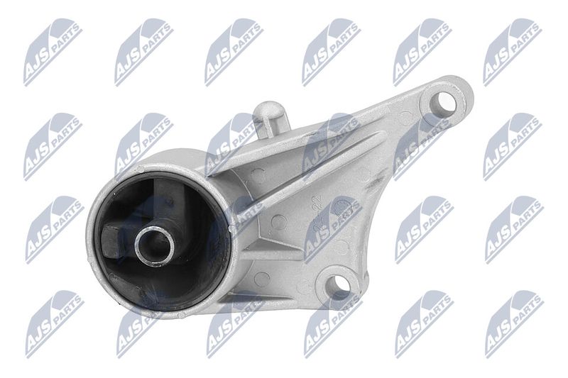 Paigutus, Mootor, NTY ZPS-PL-015