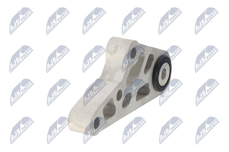 Paigutus, Mootor, NTY ZPS-CH-119