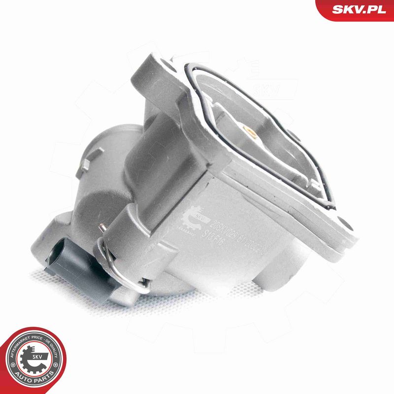 ESEN SKV 20SKV029 Termostatas