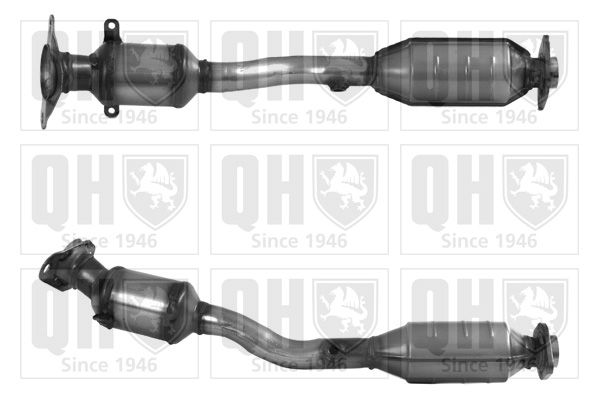 QH_QCAT91751H.JPG