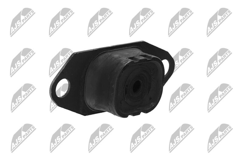 Paigutus, Mootor, NTY ZPS-NS-055