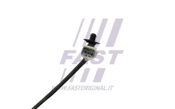 FT80268_4_1.JPG