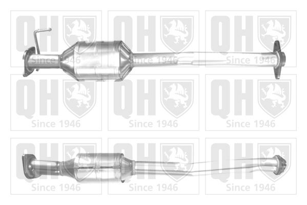 QH_QCAT91456H.JPG