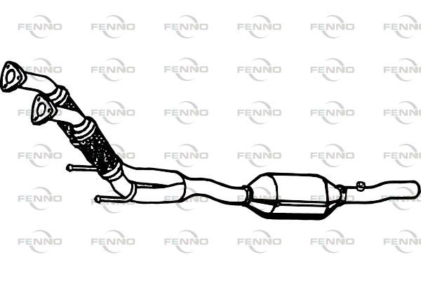 P9566CAT.JPG