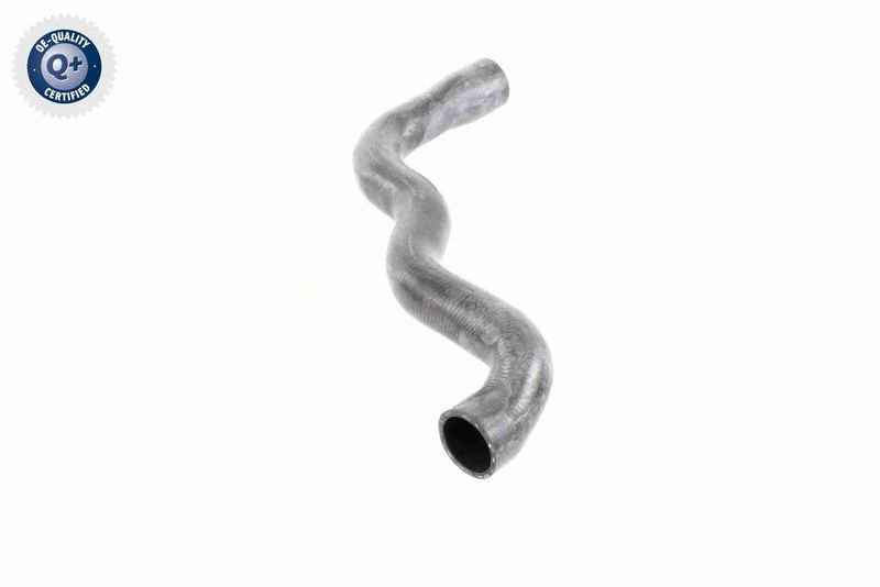 VAICO V30-2915 Radiator Hose