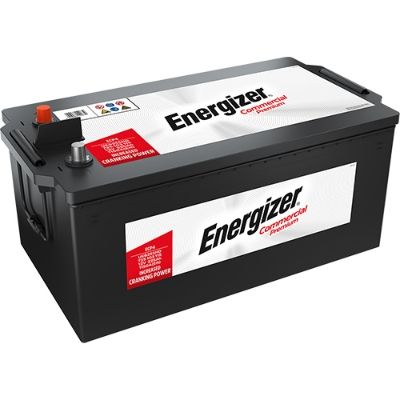 ECP4.JPG