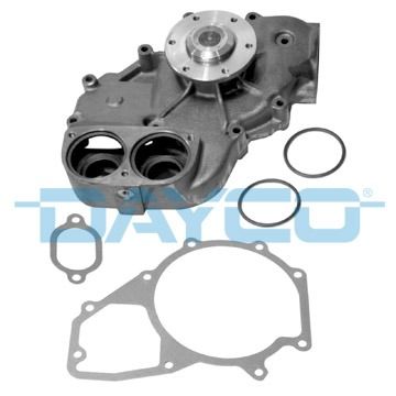 DP109.JPG