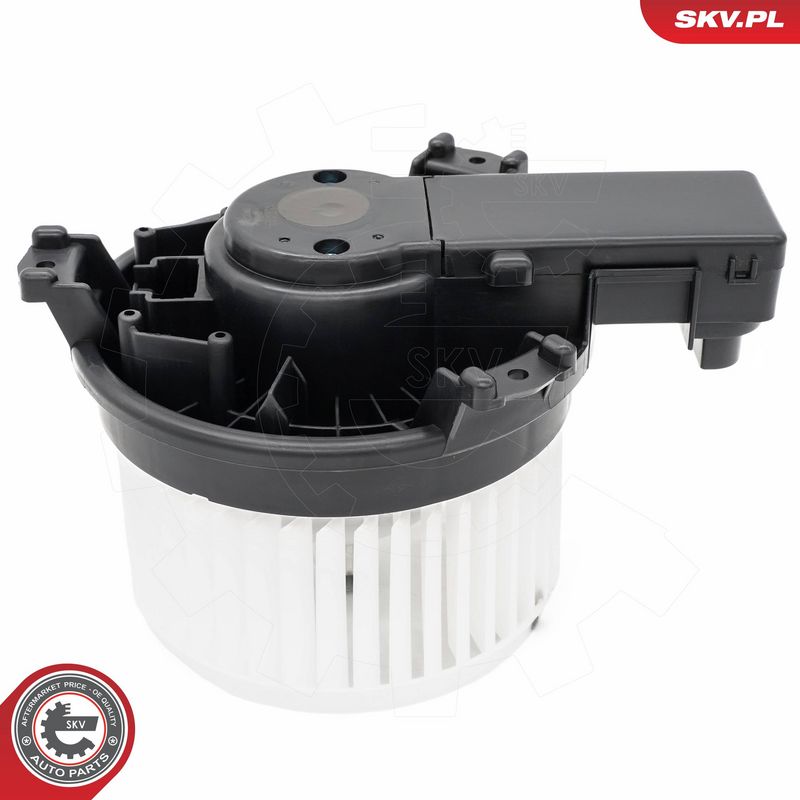 Salongipuhur, ESEN SKV...