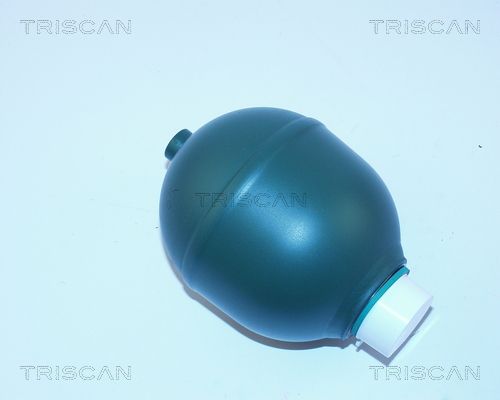 TRISCAN nyomástároló, rugózás/csillapítás 8760 38206