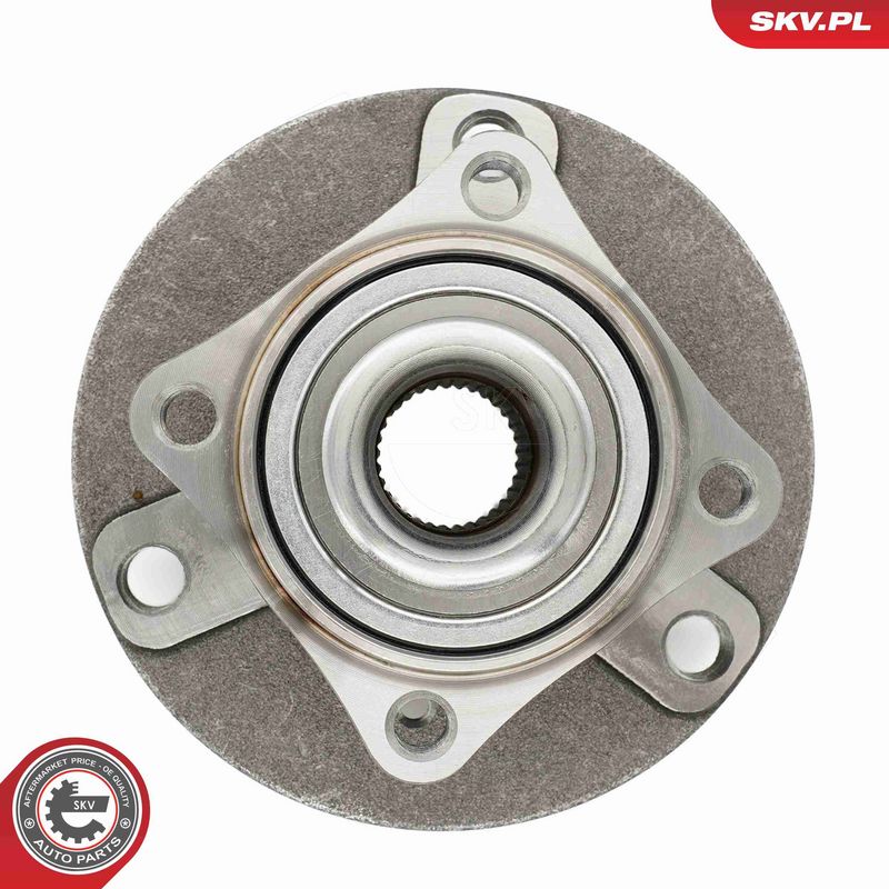 ESEN SKV 29SKV658 Wheel Bearing Kit