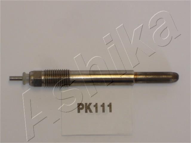 PK111_1.JPG