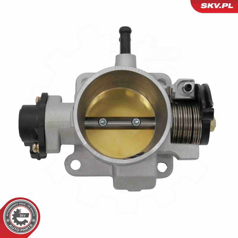 ESEN SKV 12SKV169 Throttle Body