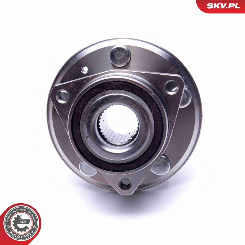 ESEN SKV 29SKV443 Wheel Bearing Kit