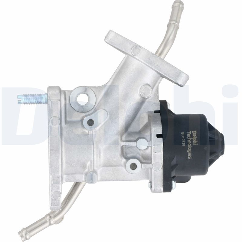 DELPHI EG10738-12B1 EGR Valve