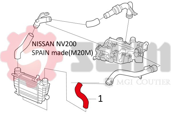 981445_1.JPG