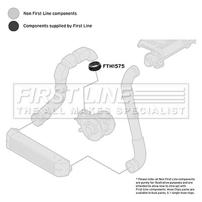 FTH1575_1587511.JPG