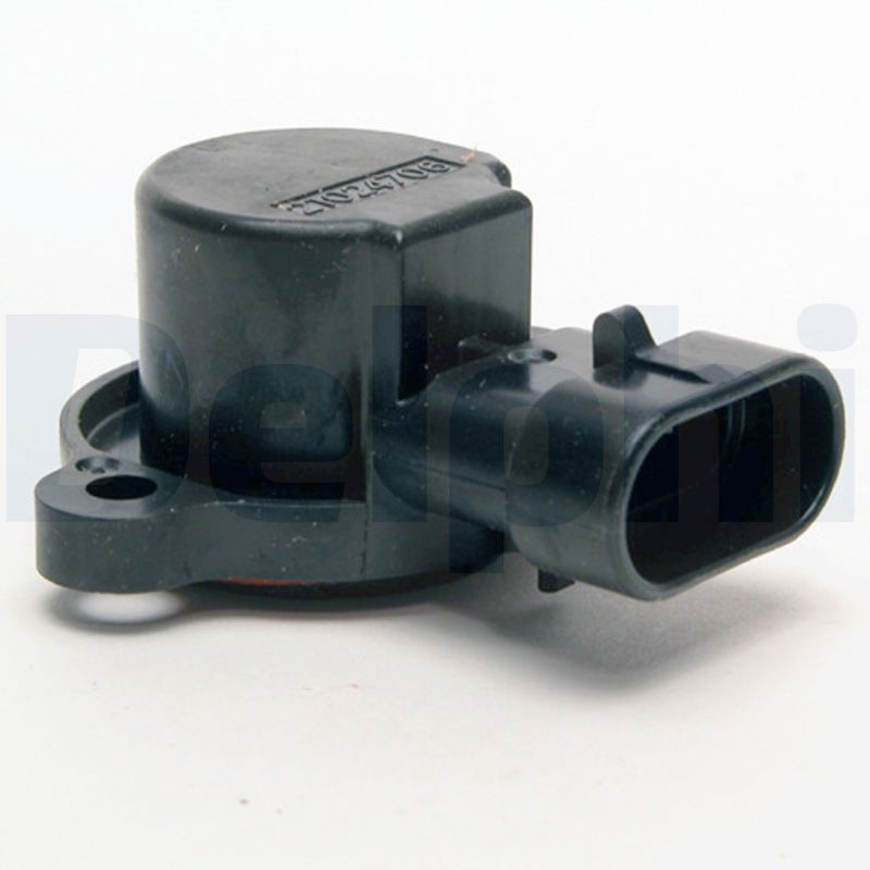 SS10561.JPG