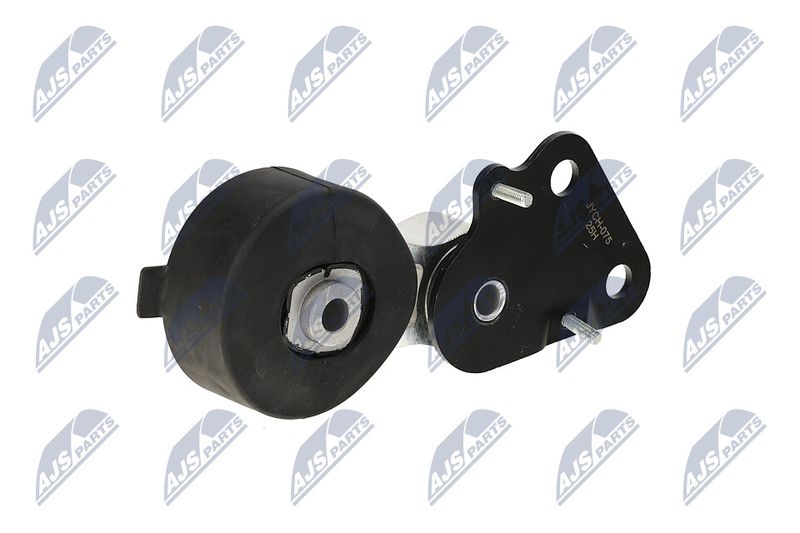 Paigutus, Mootor, NTY ZPS-CH-075