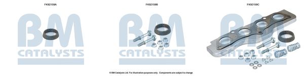BM CATALYSTS szerelőkészlet, katalizátor FK92159