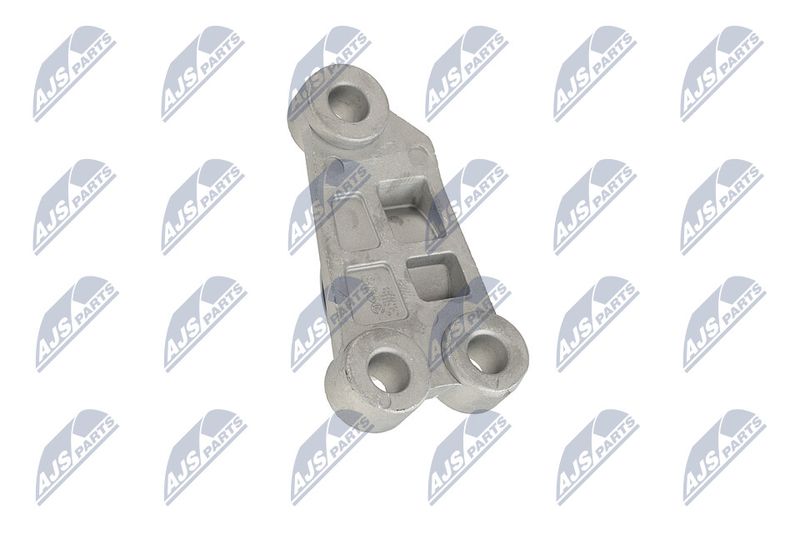 Paigutus, Mootor, NTY ZPS-CH-118