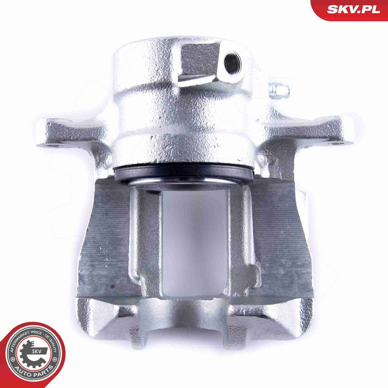 ESEN SKV 55SKV132 Brake Caliper