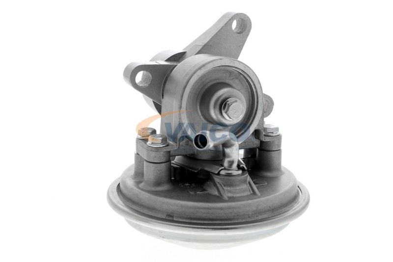 VAICO V25-1907 Mounting, engine