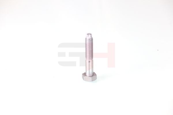 GH GH-393708 Bolt, kingpin