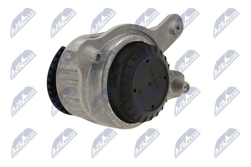 Paigutus, Mootor, NTY ZPS-ME-029