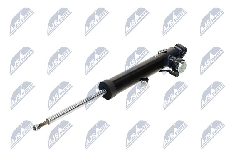 Amort, NTY A-PL-066