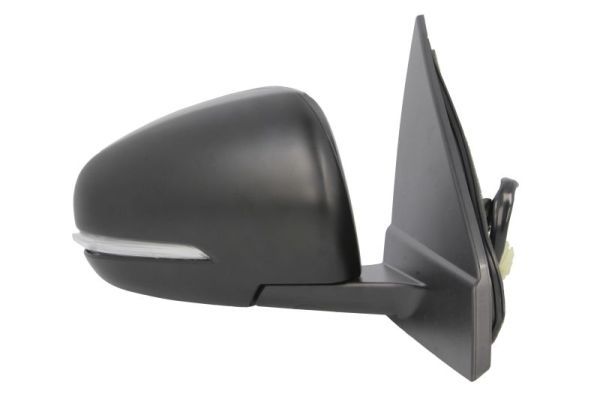 BLIC 5402-18-1384319P Exterior Mirror