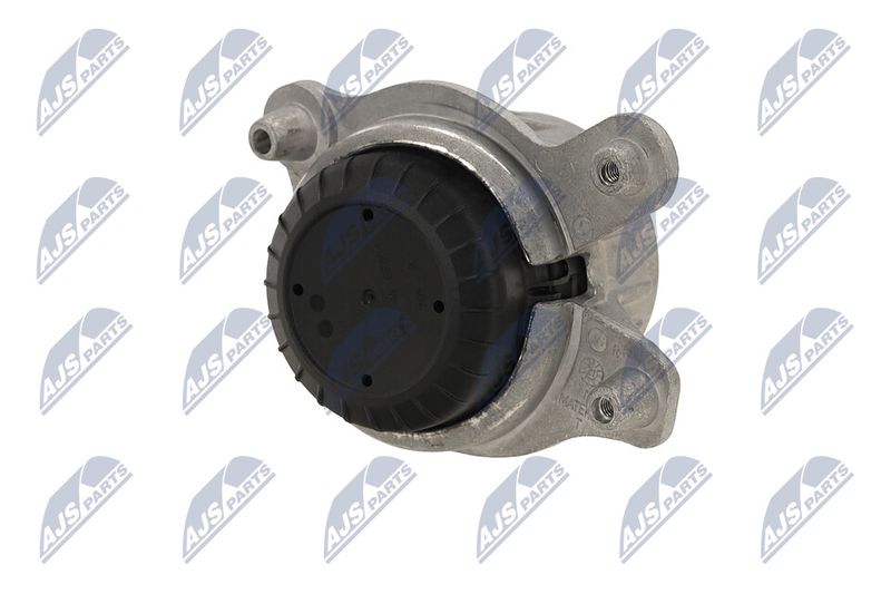 Paigutus, Mootor, NTY ZPS-ME-029