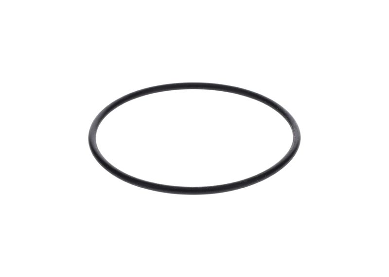 Inel de etansare 1 900 210 154 BOSCH