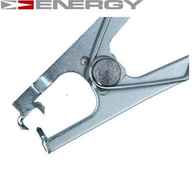 Гострозубці, Energy NE01108