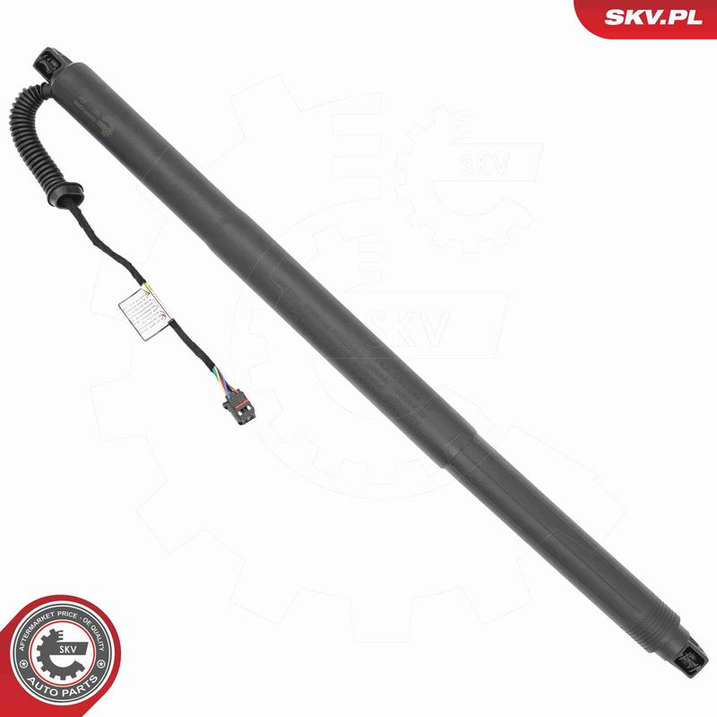 ESEN SKV 52SKV256 Electric Motor, tailgate