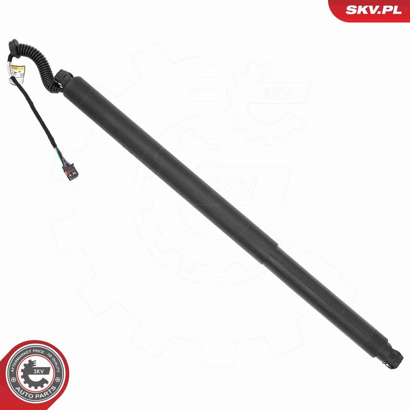 ESEN SKV 52SKV238 Electric Motor, tailgate
