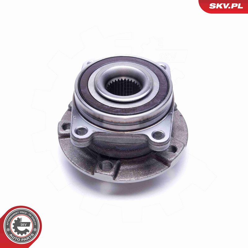 ESEN SKV 29SKV491 Wheel Bearing Kit