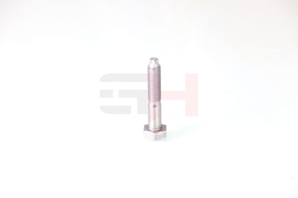GH GH-393708 Bolt, kingpin