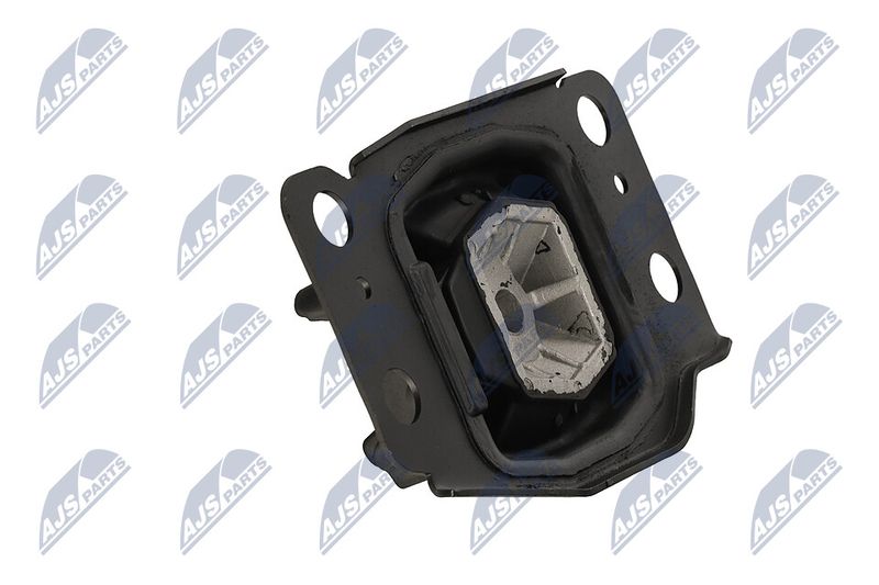 Paigutus, Mootor, NTY ZPS-FR-036