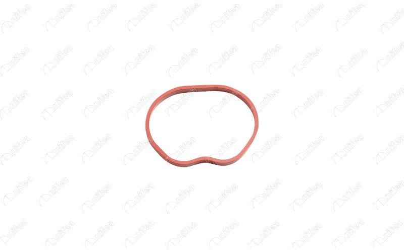 EMME MANIFOLD CONTASI C-MAX - FIESTA - FOCUS - FUSION - MAZDA 2 - VOLVO C30 - S40 - V50