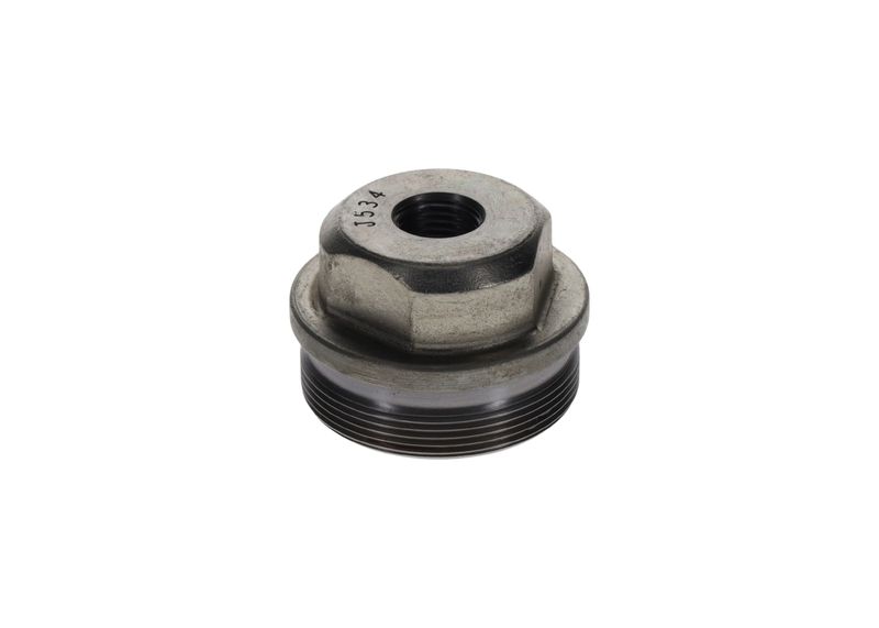 BOSCH F002D12534 Screw