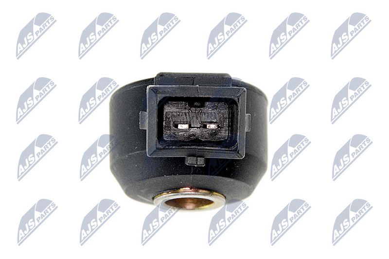 Detonatsiooniandur, NTY ESS-NS-000