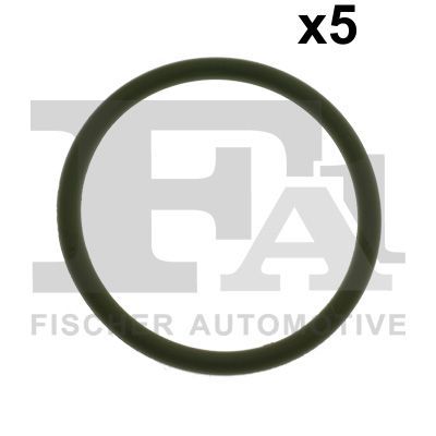 Product Blīvgredzens FA1 076.206.005 Image