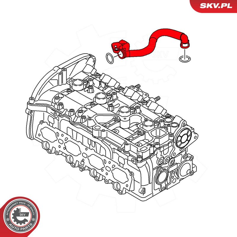 Voolik, Karterituulutus, ESEN SKV 54SKV038