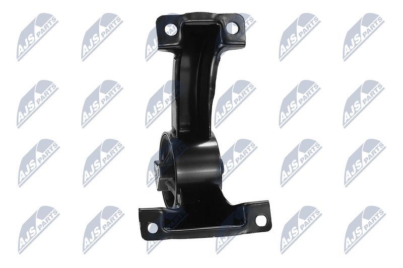 Paigutus, Mootor, NTY ZPS-CH-169