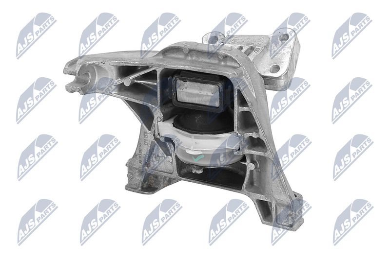 Paigutus, Mootor, NTY ZPS-PE-020