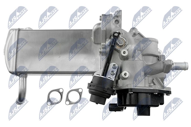 egr-vw-024_3-wm.JPG