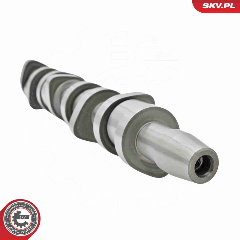 ESEN SKV 80SKV306 Camshaft Kit